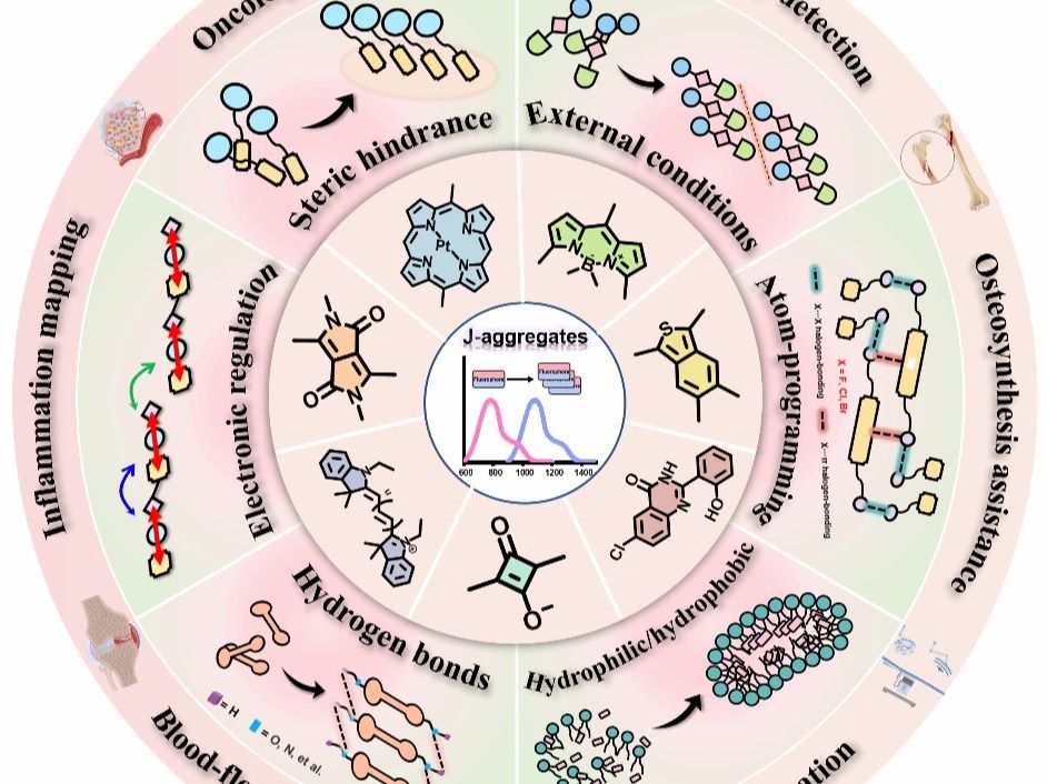 我院青年教師胡曉明博士在國(guó)際頂級(jí)期刊Advanced Materials上刊發(fā)高水平論文